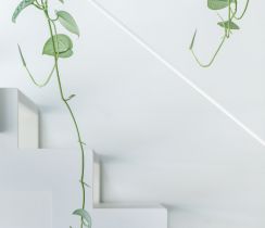loft b